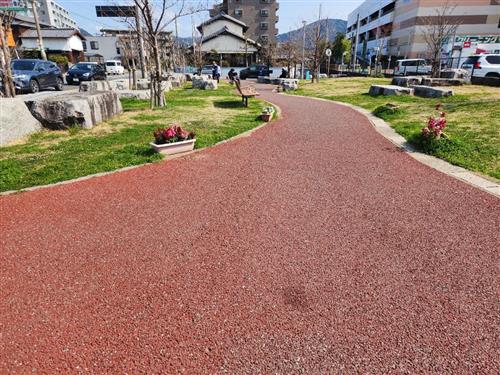 大町公園 暖かくなり草花も活発に活動しています