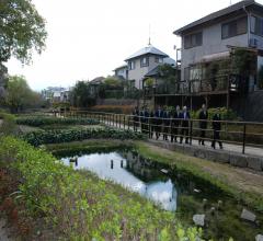 どんぽの森の写真