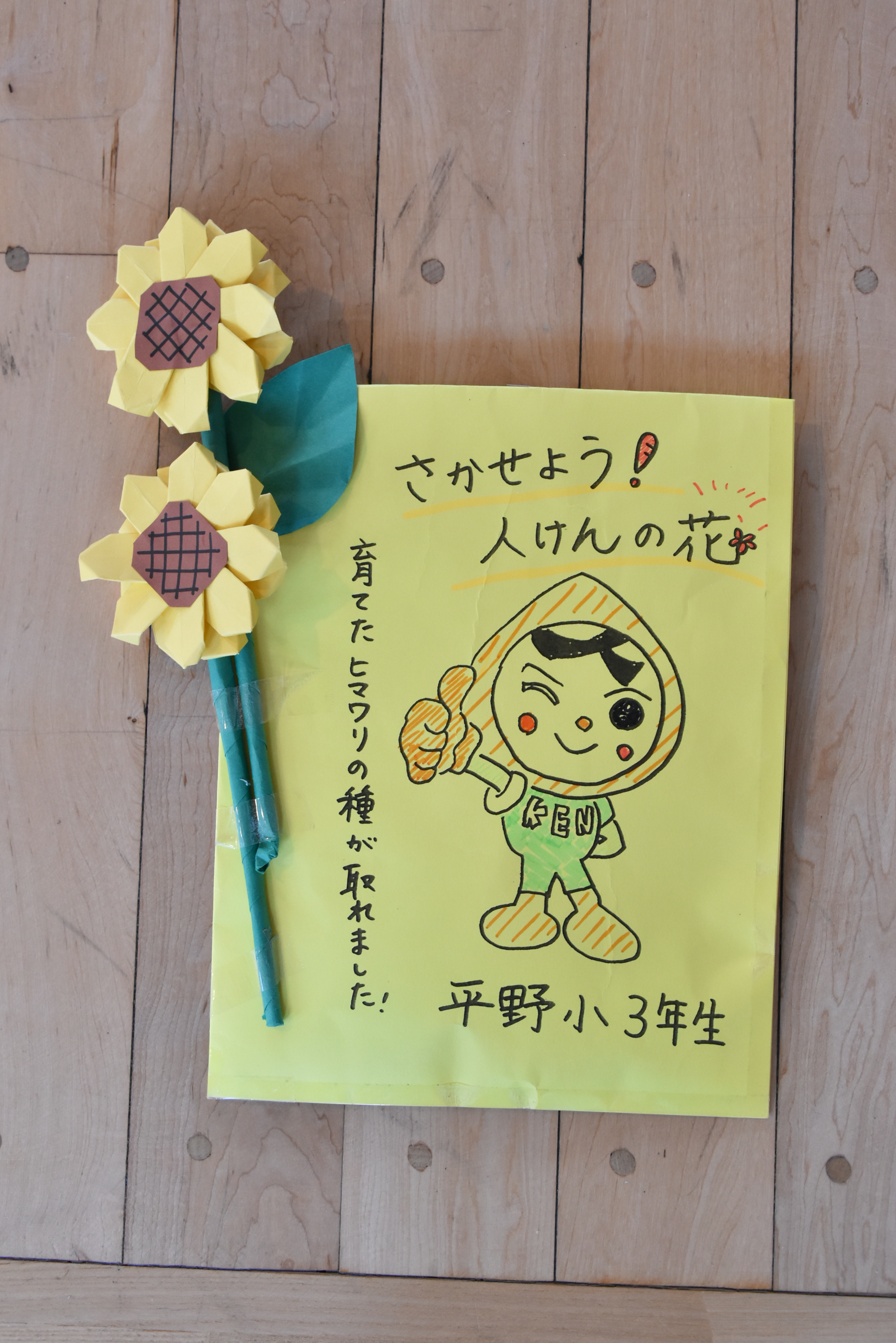 〔人権の花：令和6年度〕種