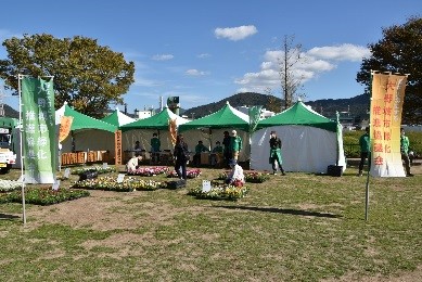 みどりの広場写真