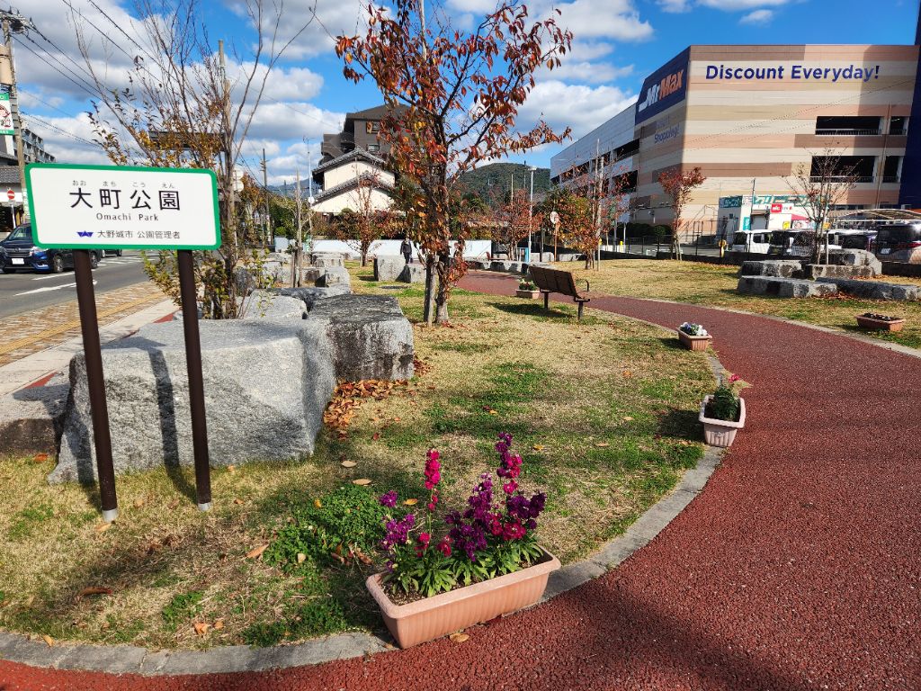 大町公園　冬花もきれいに咲いてますの画像