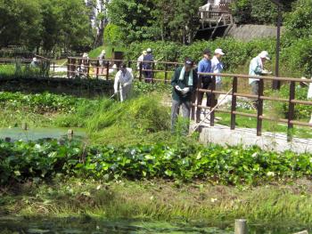 地域の取り組み