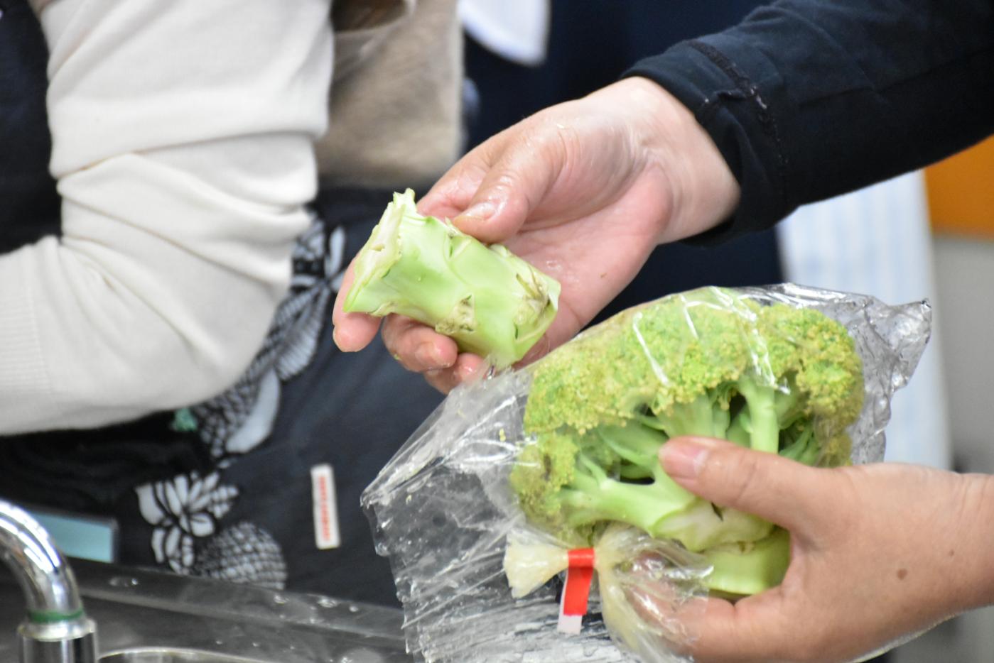 ブロッコリーの花蕾と茎に切り分ける