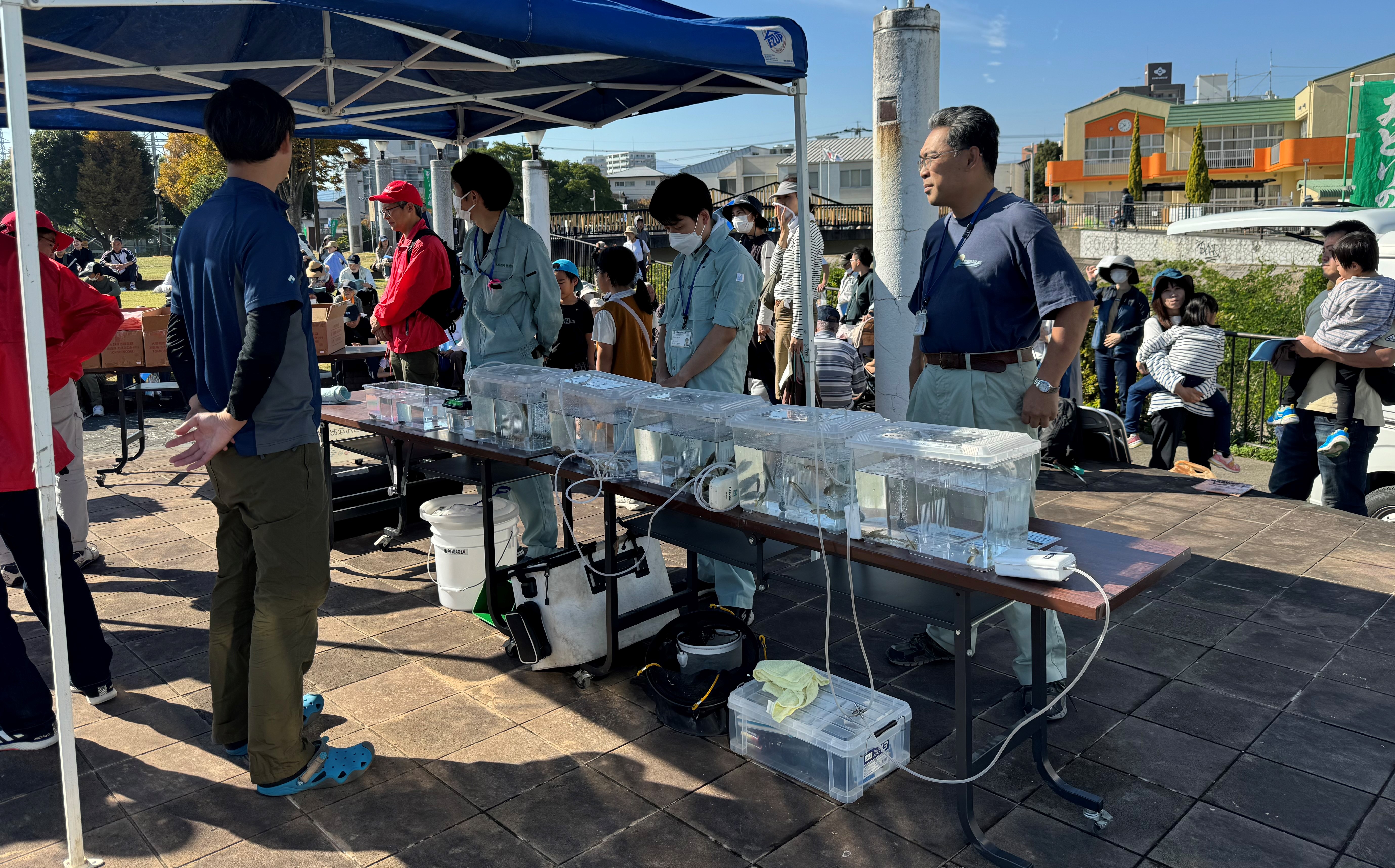 水生生物展示2023①