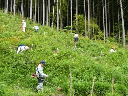 トラスト活動の写真