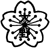 大野小学校の画像