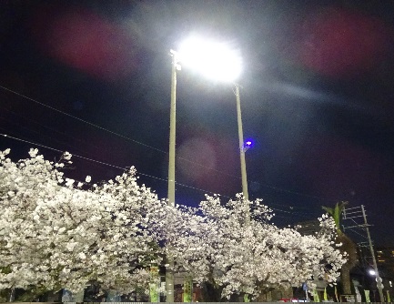 大野小学校写真②