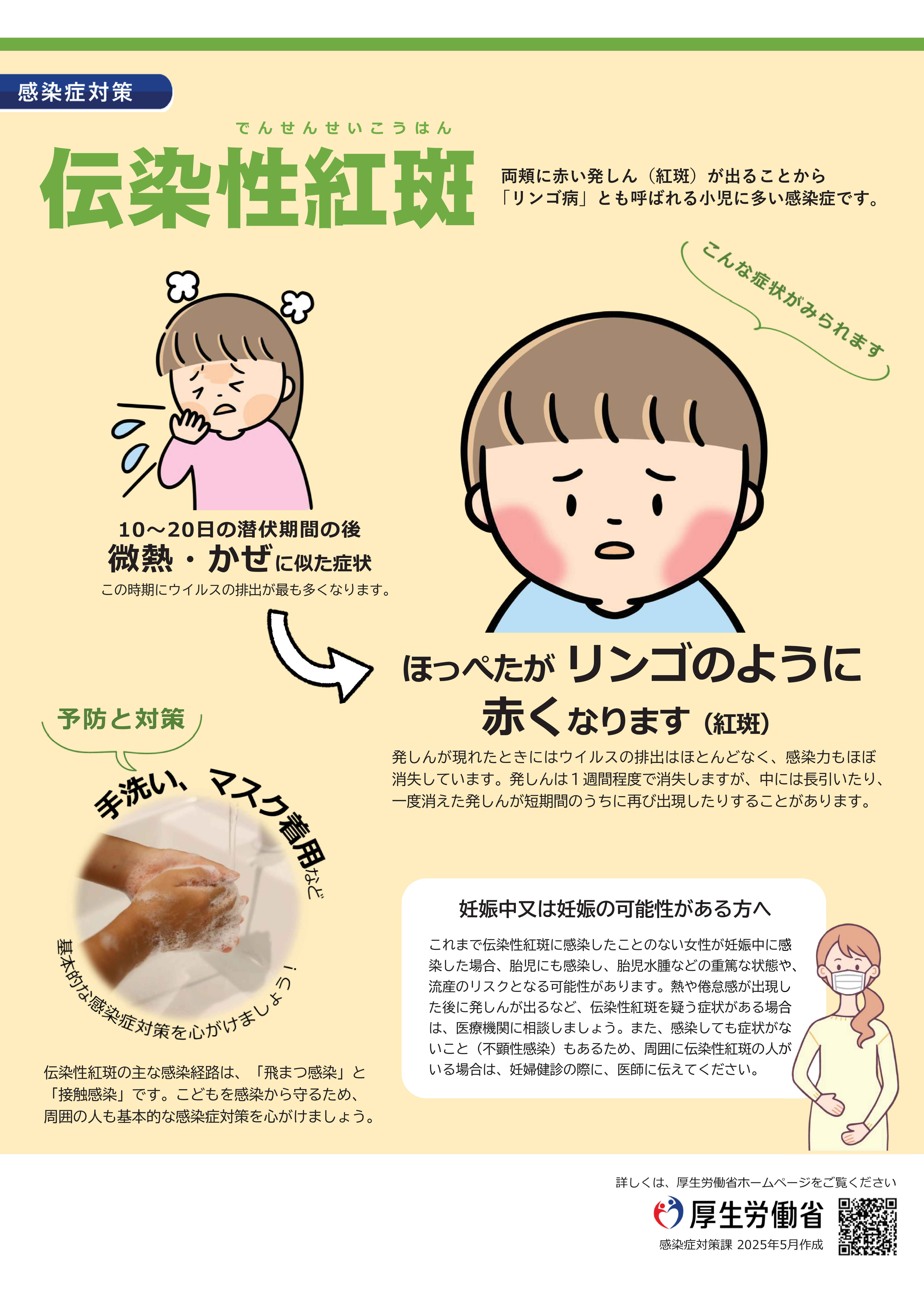 厚生労働省 伝染性紅斑チラシ