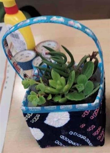 牛乳パック寄せ植え写真