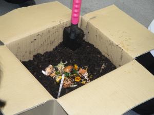 ダンボールコンポスト