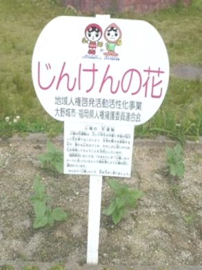 芽が出てすくすくと成長しています