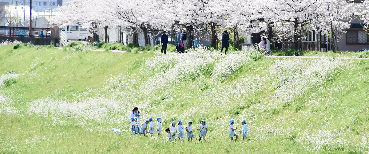 桜と子どもたちの写真