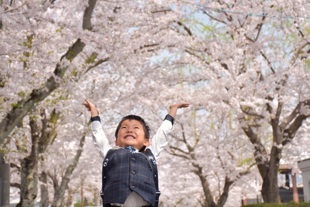 桜並木に立つ男の子
