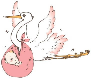 コウノトリのイラスト